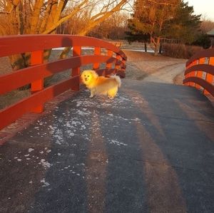 Meet your Posher, Lj